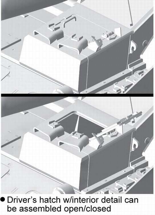 -image_Dragon_6612_3