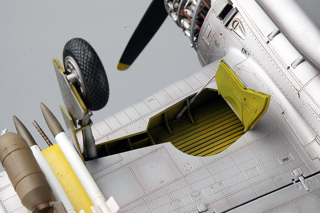 -image_Trumpeter_02265_16