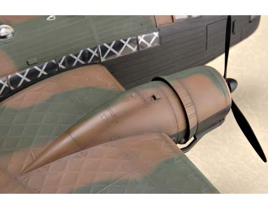 -image_Trumpeter_02808_9