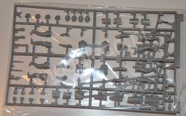 -image_Dragon_6158_3