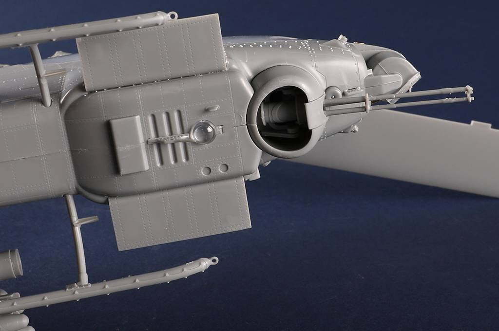 -image_Trumpeter_05116_17