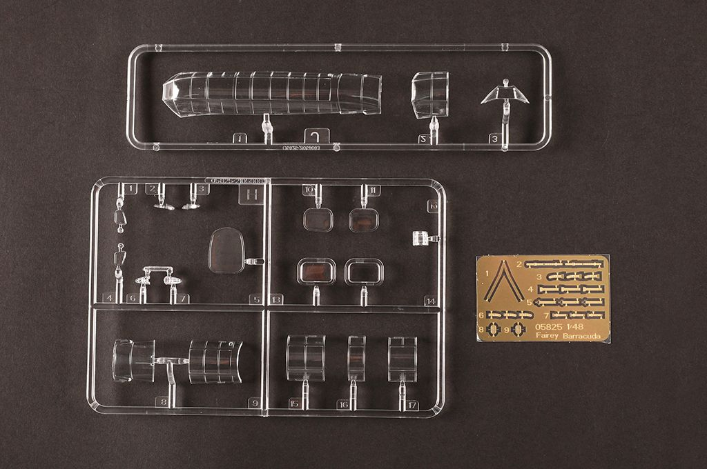 -image_Trumpeter_05825_20