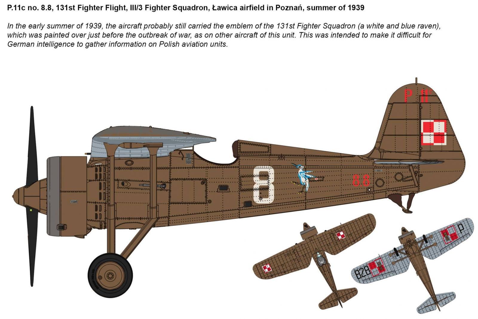 -image_IBG Models_32005_2