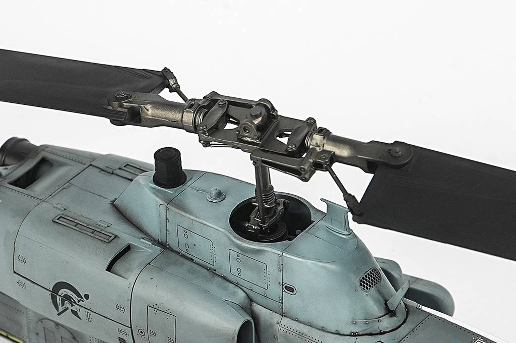 -image_Trumpeter_05116_10