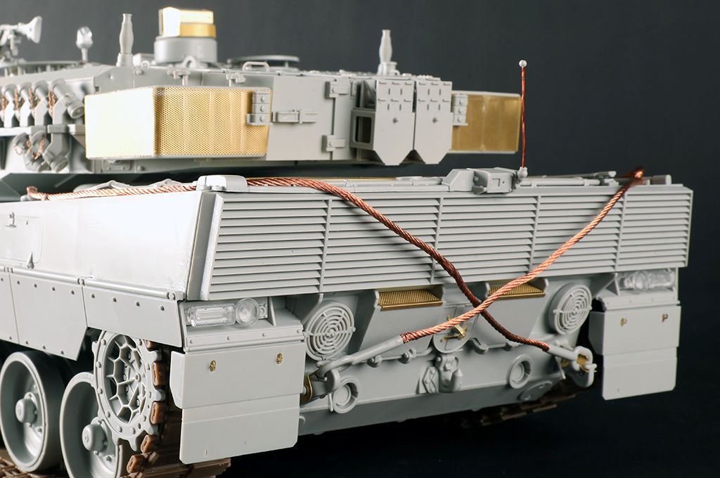 -image_Trumpeter_00966_7