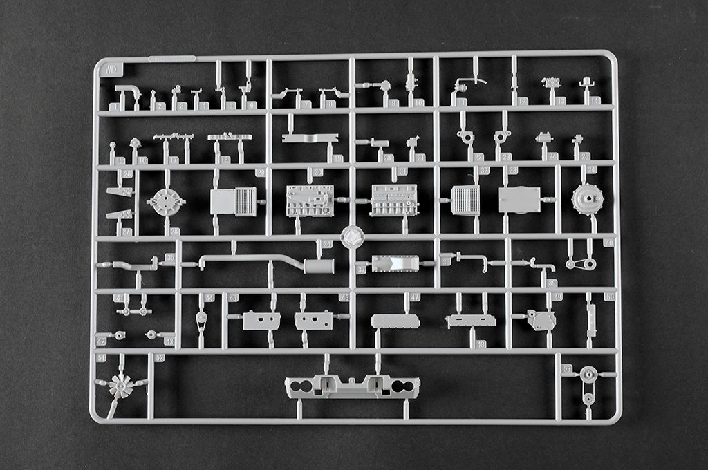 -image_Trumpeter_01097_20