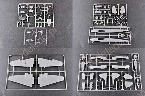 -image_Trumpeter_02894_5