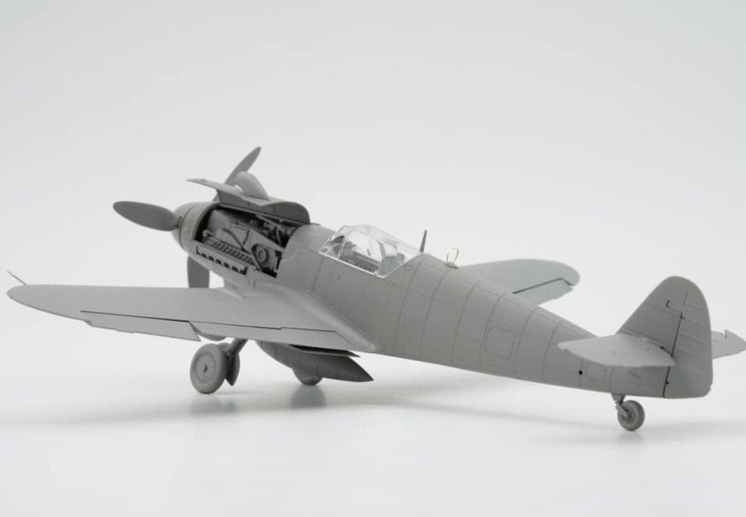 -image_Border Model_BF-013_5