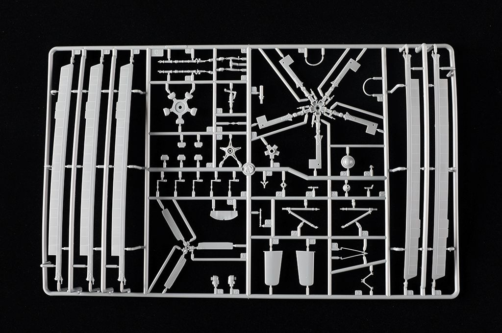 -image_Trumpeter_05853_15