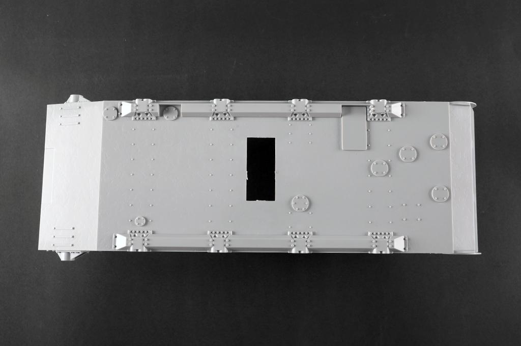 -image_Trumpeter_00953_14