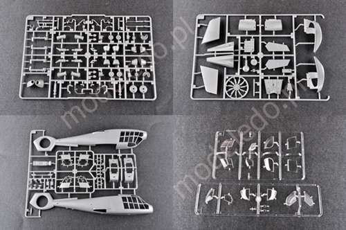 -image_Trumpeter_05109_8