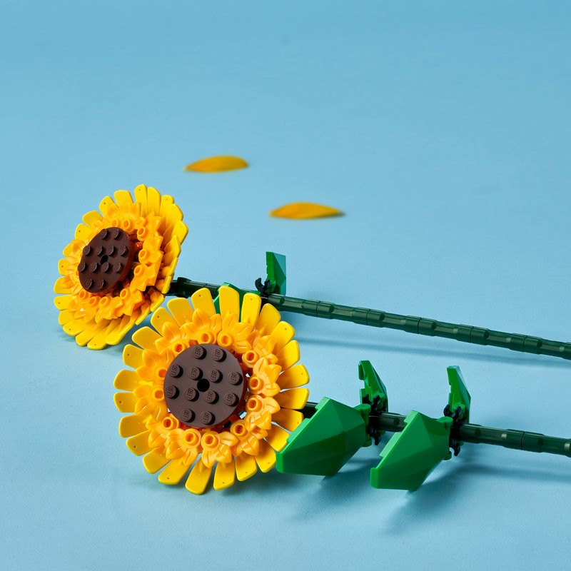 -image_LEGO_Lego40524_2