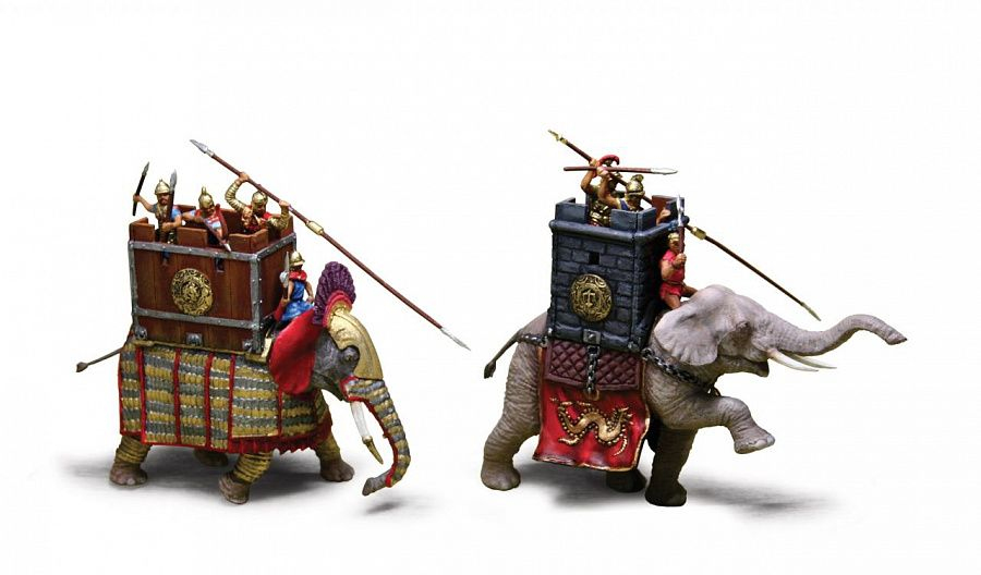 -image_Zvezda_8011_3