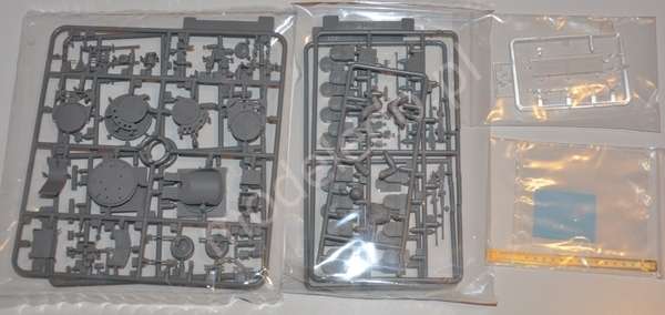 -image_Dragon_6421_3