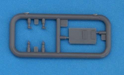 -image_IBG Models_72029_3