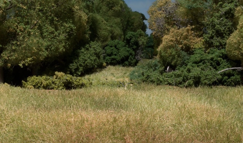 -image_Woodland Scenics_FS629_5