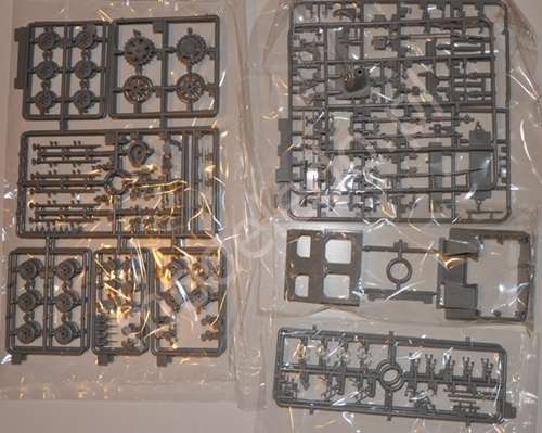 -image_Dragon_6633_5