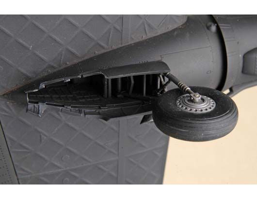 -image_Trumpeter_02808_11