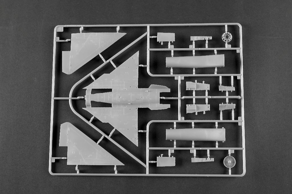 -image_Trumpeter_01698_7