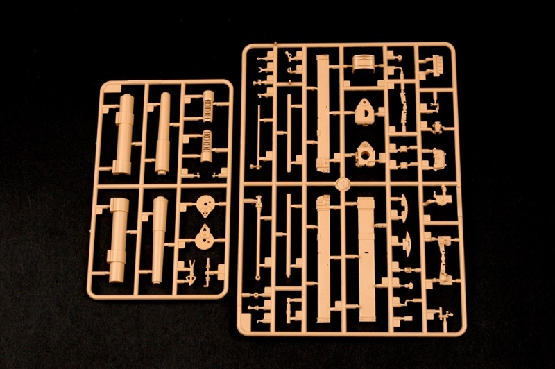 -image_Trumpeter_02315_11