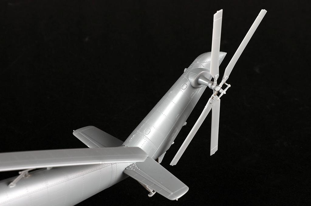 -image_Trumpeter_05830_8