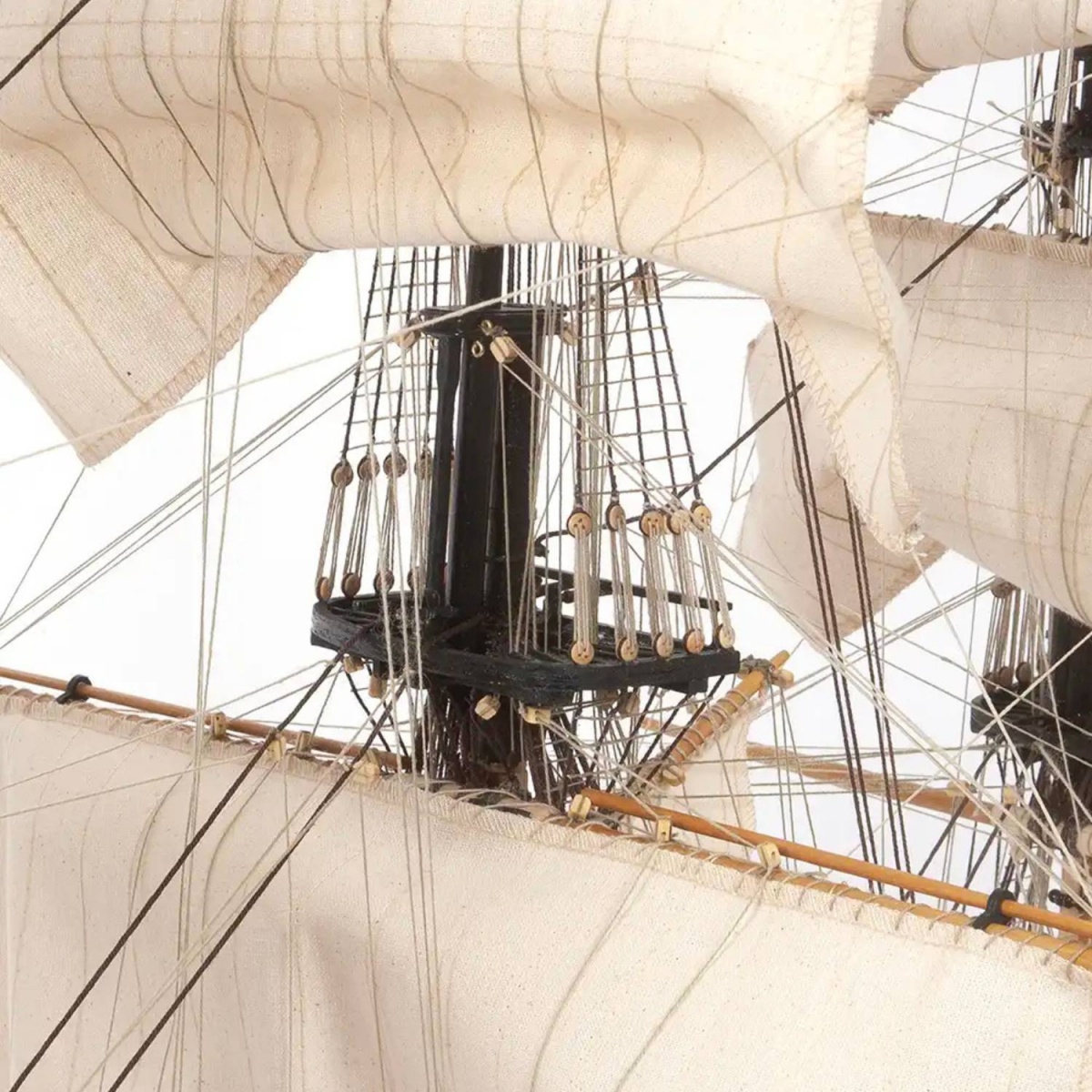 -image_OcCre_15007_3