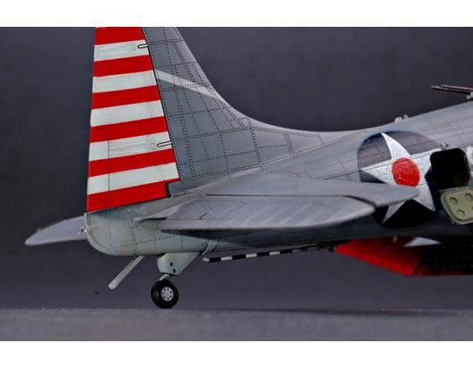 -image_Trumpeter_02244_5