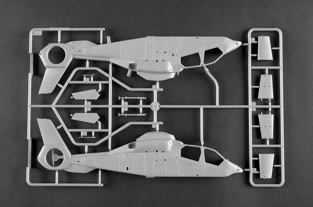 -image_Trumpeter_05851_12